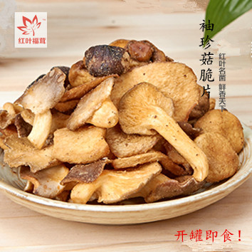 野生黄牛肝菌