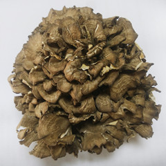 灰树花