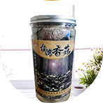 干货专区
